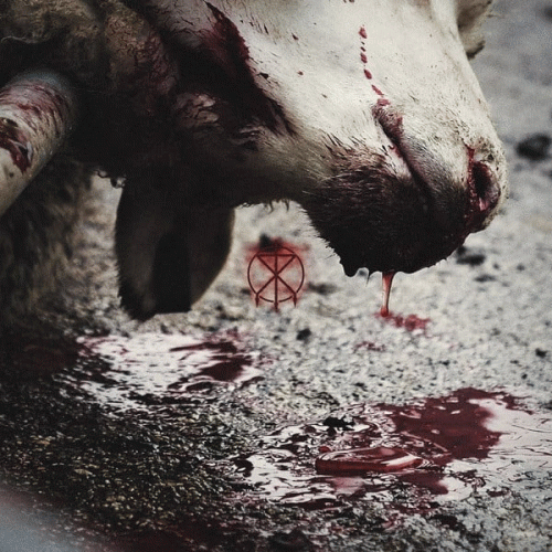 To The Grave : Director's Cuts